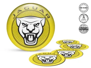 Jaguar Ruota Decalcomanie Versione Adesivi Resina Custom